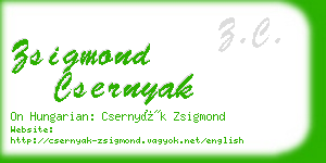 zsigmond csernyak business card